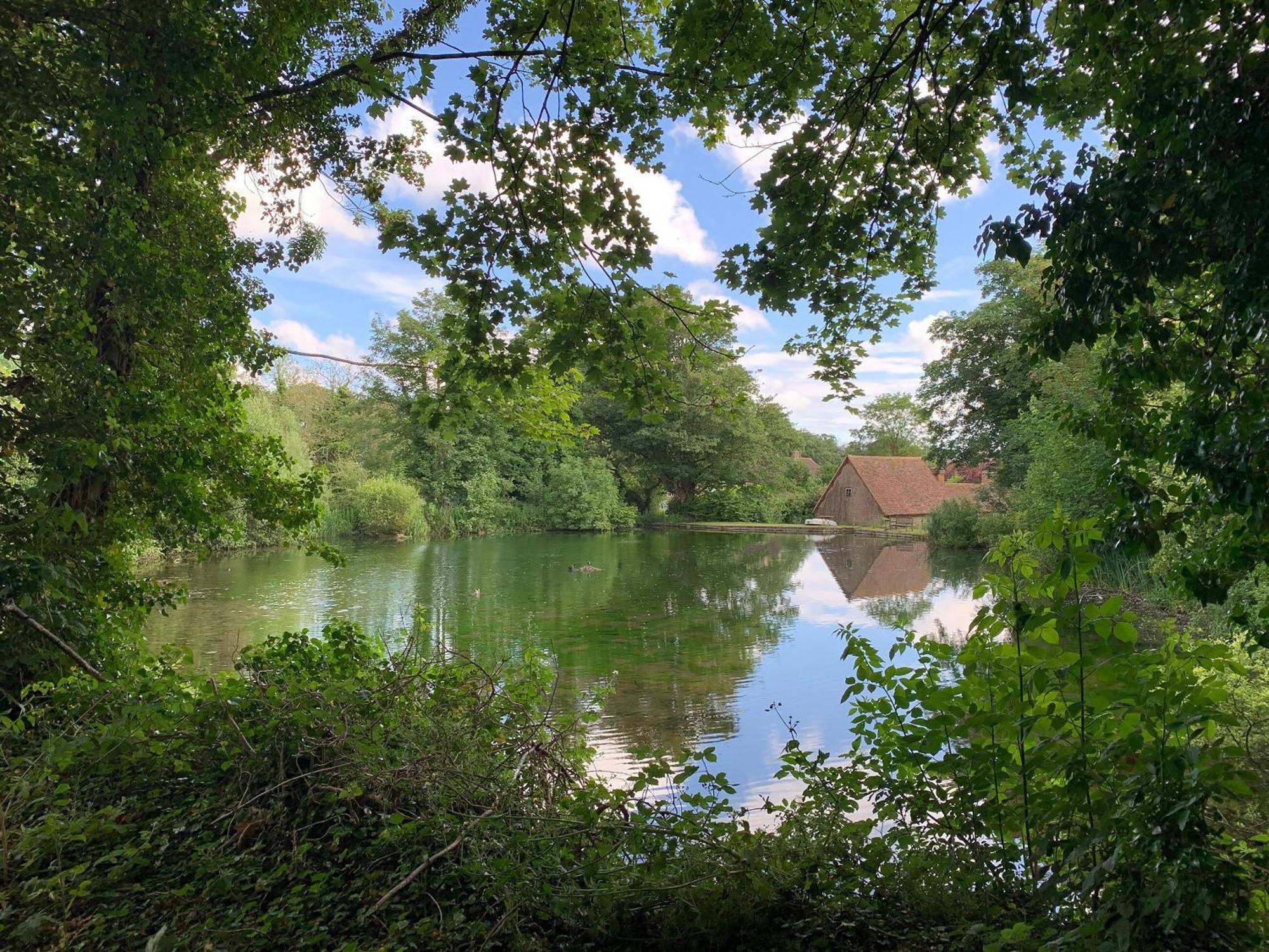 Moorhen Cottage Hollingbourne Екстер'єр фото